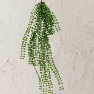 PLANTA DECORATIVA COLGANT}