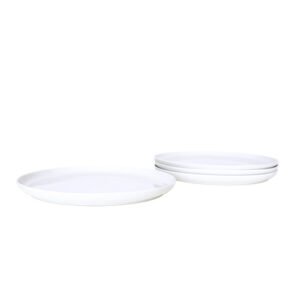 JUEGO DE 4 PLATOS TRINCHE DE PORCELANA PREMIUM PARA HORECA